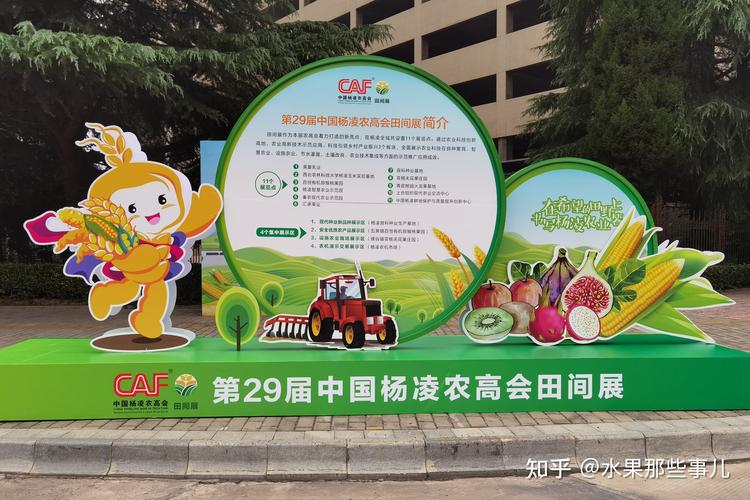 2019陕西杨凌限号吗，2020年杨凌限号查询今天-第7张图片-屿企百科网