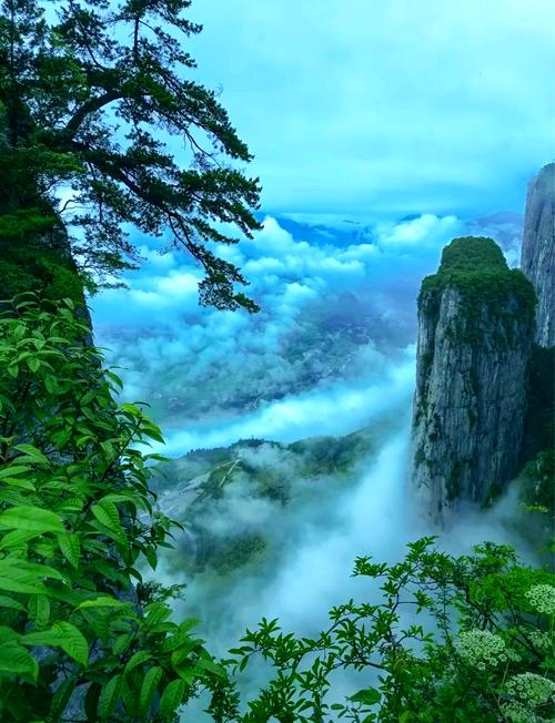 墨脱旅游景点大全？墨脱旅游景点大全图？-第3张图片-屿企百科网