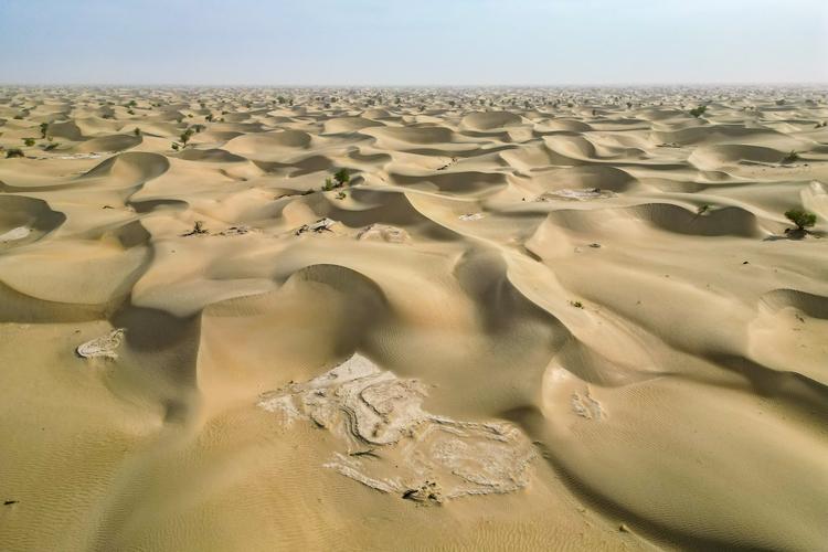 哪种气候最不好，哪种气候最不好种菜？-第1张图片-屿企百科网