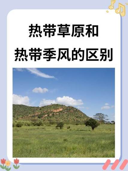 哪种气候最不好，哪种气候最不好种菜？-第5张图片-屿企百科网