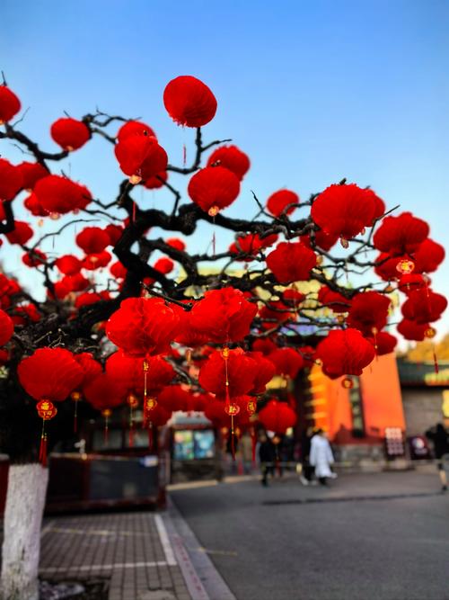 春节期间昆明最低气温？昆明最低气温多少？-第4张图片-屿企百科网