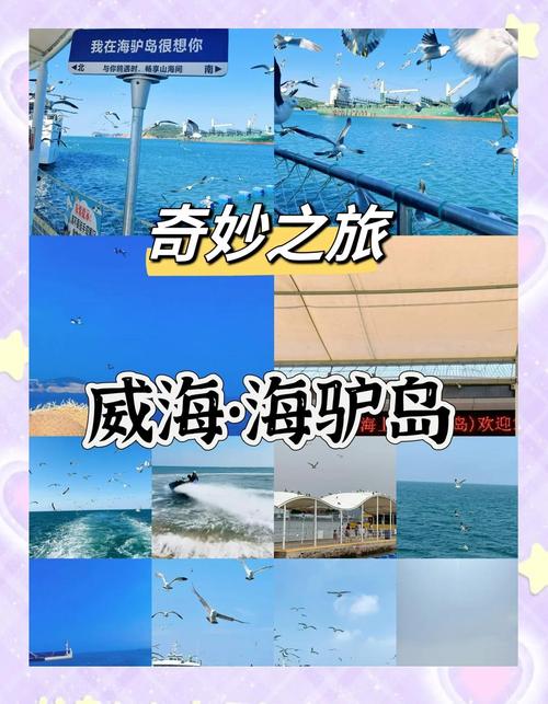 威海海驴岛风景区？山东威海海驴岛门票？-第2张图片-屿企百科网