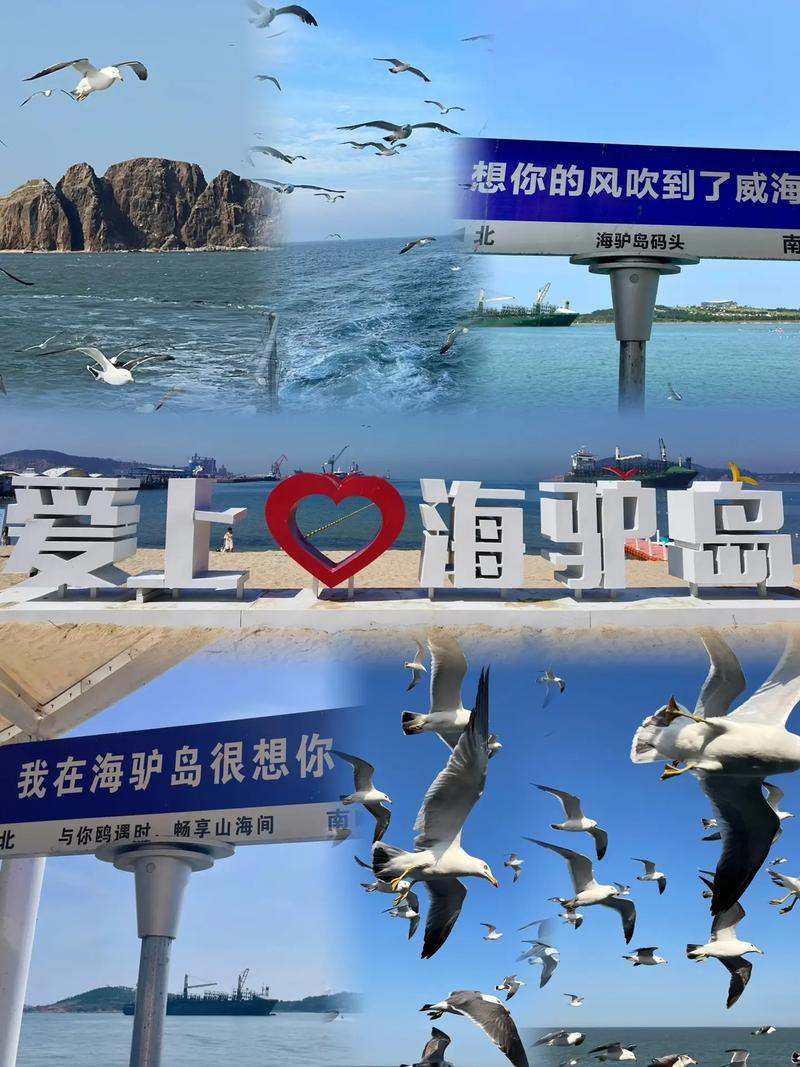 威海海驴岛风景区？山东威海海驴岛门票？-第3张图片-屿企百科网