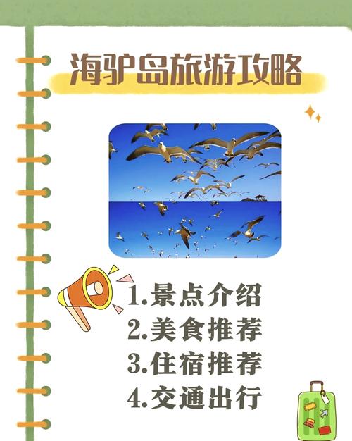 威海海驴岛风景区？山东威海海驴岛门票？-第4张图片-屿企百科网