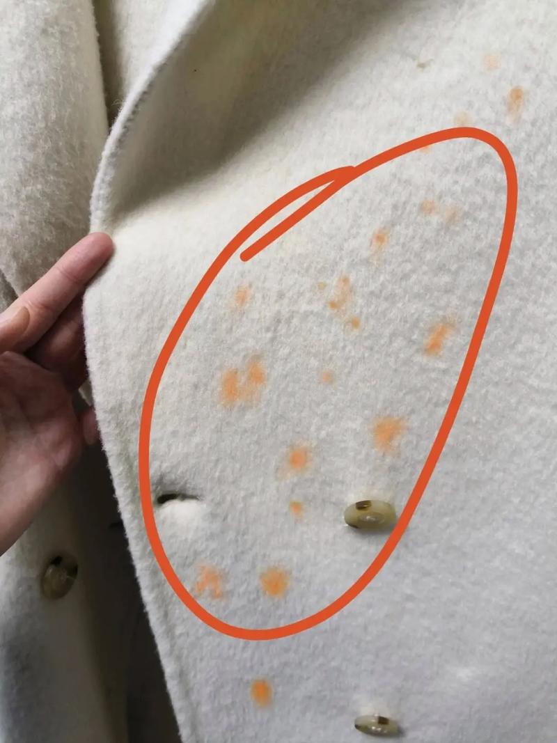 羊毛大衣为什么不能水洗，羊毛大衣为什么不能水洗只能干洗？-第4张图片-屿企百科网