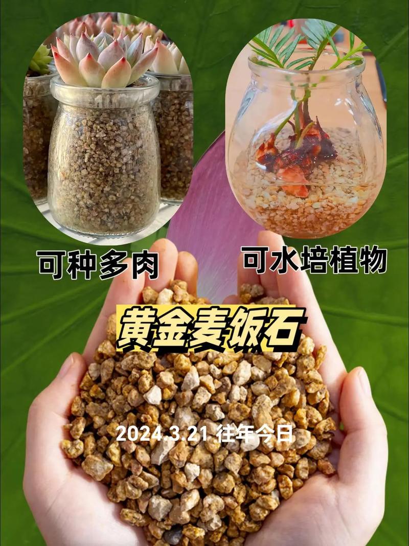 麦饭石是什么材料？火山岩麦饭石是什么材料？-第4张图片-屿企百科网