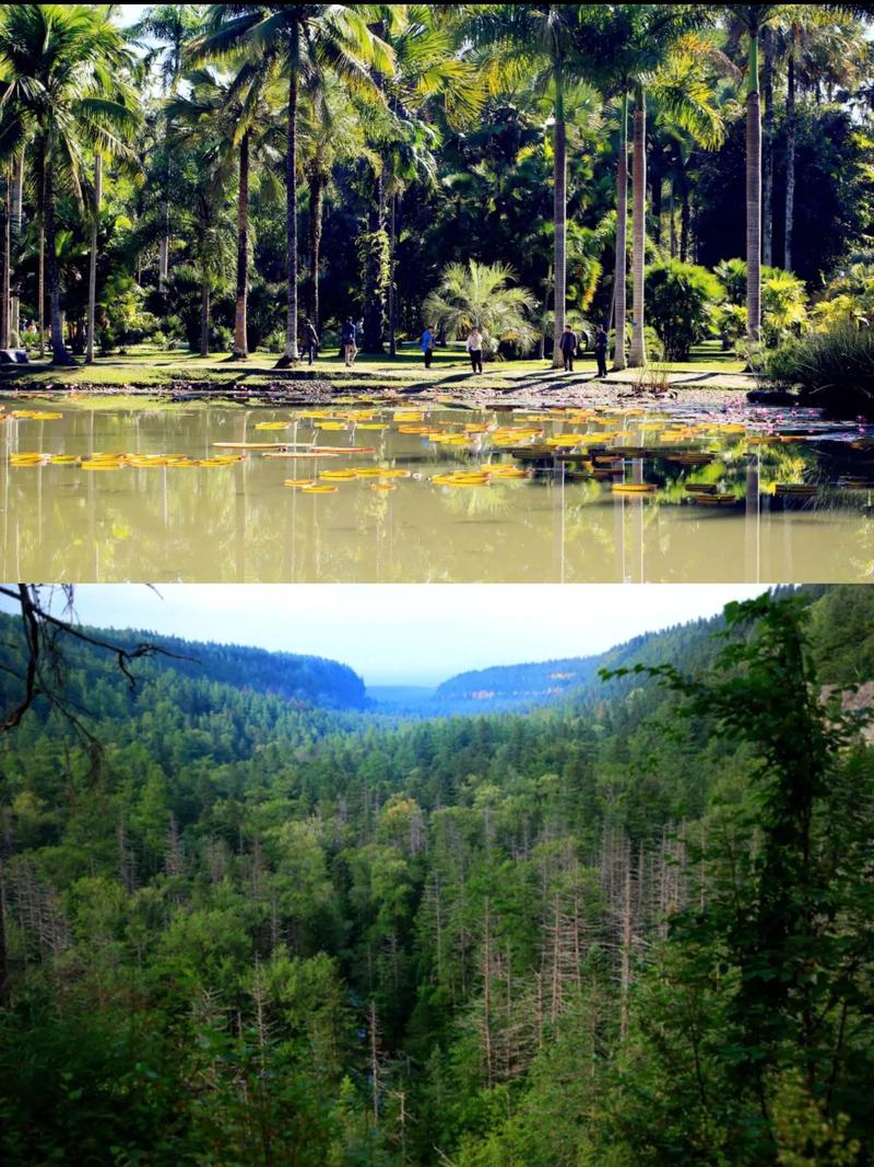 南半球温带热带季风气候吗，南半球温带季风点状图？-第5张图片-屿企百科网