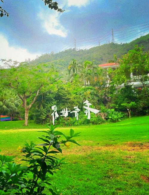 深圳青青世界门票多少，深圳青青世界游玩攻略门票多少