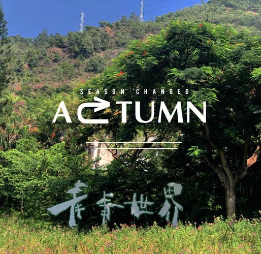 深圳青青世界门票多少，深圳青青世界游玩攻略门票多少-第5张图片-屿企百科网