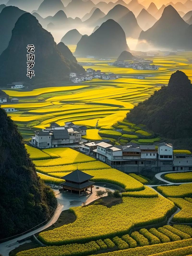 罗平油菜花最佳观景点？罗平油菜花最佳观景点图片？-第7张图片-屿企百科网