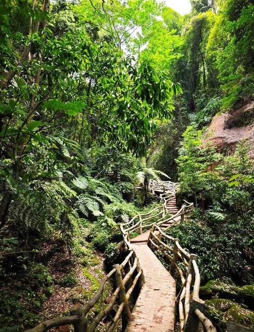 附近自驾游景点推荐，岳阳附近自驾游景点推荐