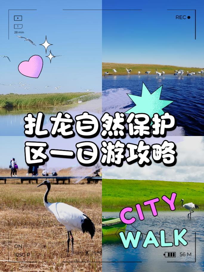 扎龙自然保护区,扎龙自然保护区面积多少平方公里-第1张图片-屿企百科网 扎龙自然保护区,扎龙自然保护区面积多少平方公里-第1张图片-屿企百科网