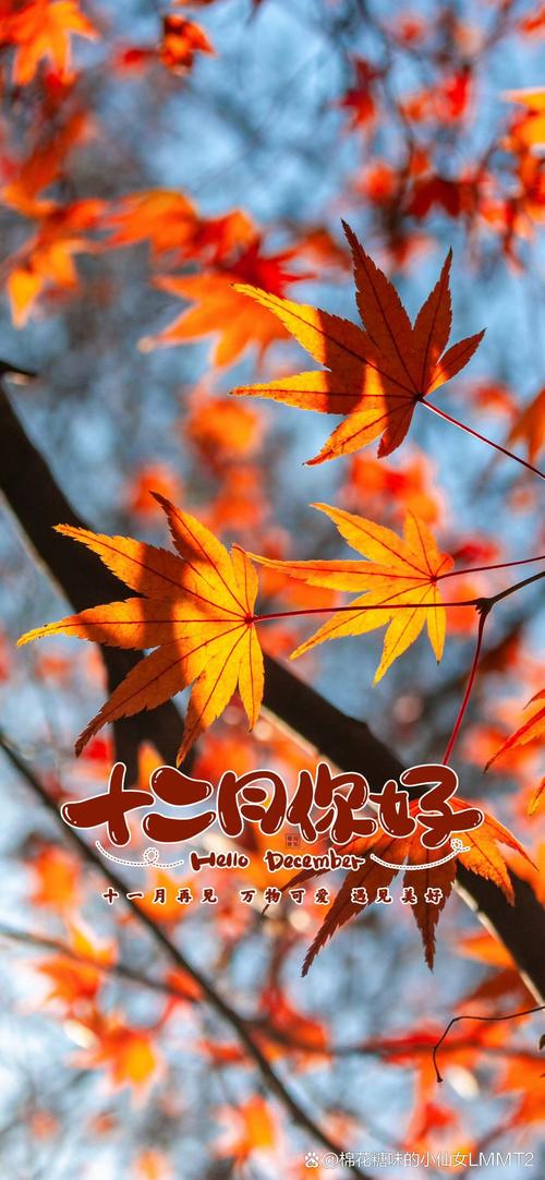 为什么今年12月份还这么热，12月份是冬天吗，今年12月份会很冷吗？-第1张图片-屿企百科网