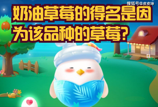 奶油草莓为什么叫奶油草莓，奶油草莓为什么叫奶油草莓?？-第2张图片-屿企百科网