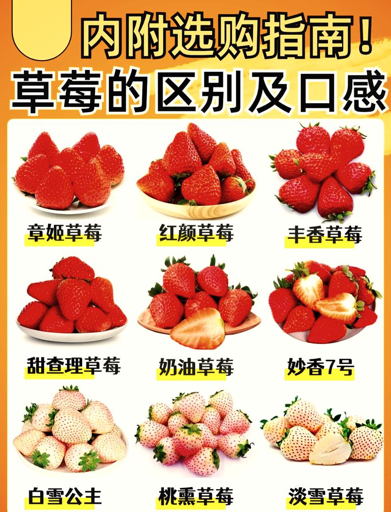 奶油草莓为什么叫奶油草莓，奶油草莓为什么叫奶油草莓?？-第5张图片-屿企百科网