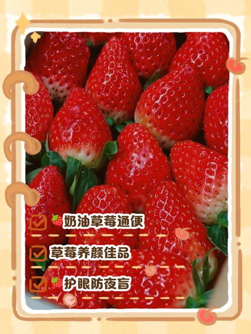 奶油草莓为什么叫奶油草莓，奶油草莓为什么叫奶油草莓?？-第6张图片-屿企百科网