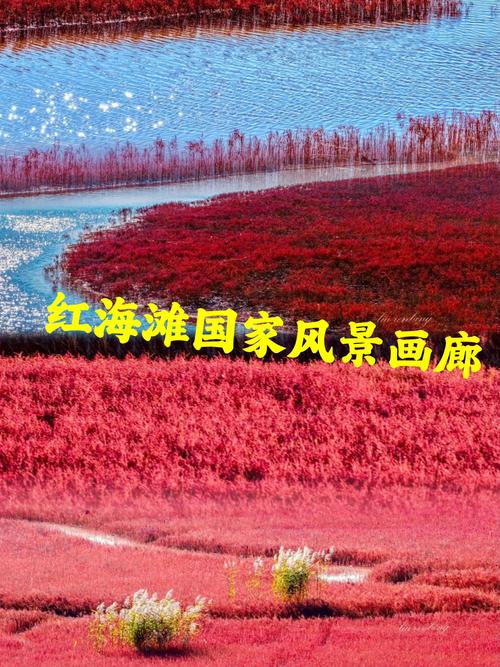 银川旅游景点大全图片，银川 旅游景点？-第5张图片-屿企百科网