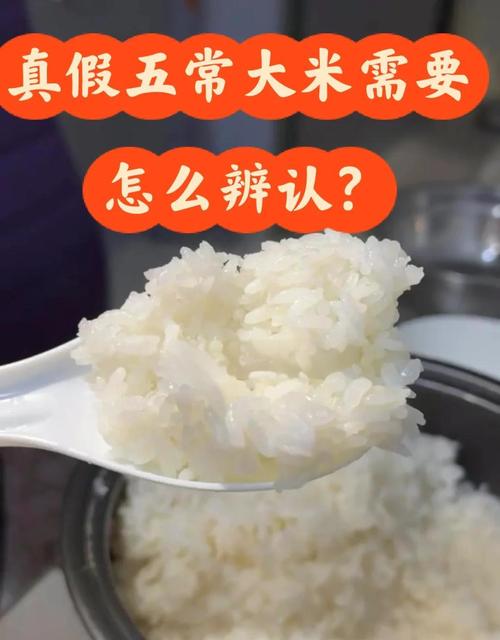 自热米饭的米是什么米？自热米饭的米是什么米能买到吗？-第1张图片-屿企百科网