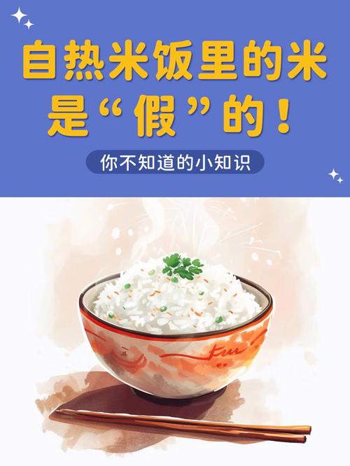 自热米饭的米是什么米？自热米饭的米是什么米能买到吗？-第2张图片-屿企百科网