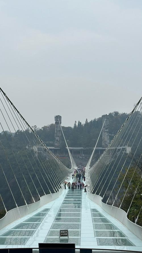 张家界大峡谷玻璃桥介绍？张家界大峡谷值得去玩吗？-第2张图片-屿企百科网