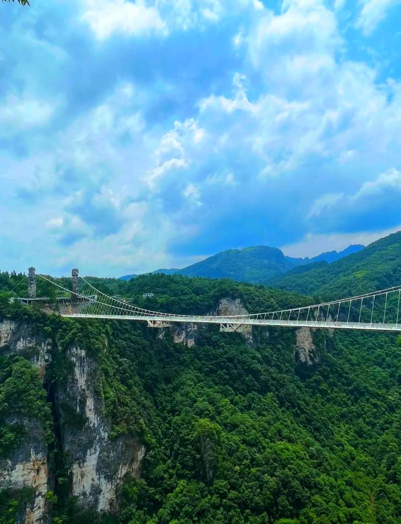 张家界大峡谷玻璃桥介绍？张家界大峡谷值得去玩吗？-第4张图片-屿企百科网