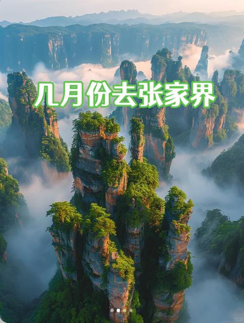 张家界天气预报，张家界天气预报30天查询旅游攻略-第4张图片-屿企百科网