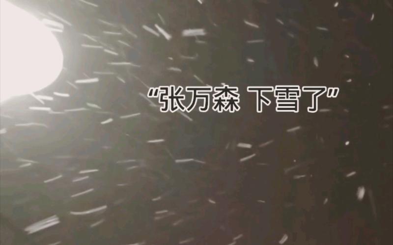 林北是什么意思网络用语，林北是什么意思闽南语-第2张图片-屿企百科网