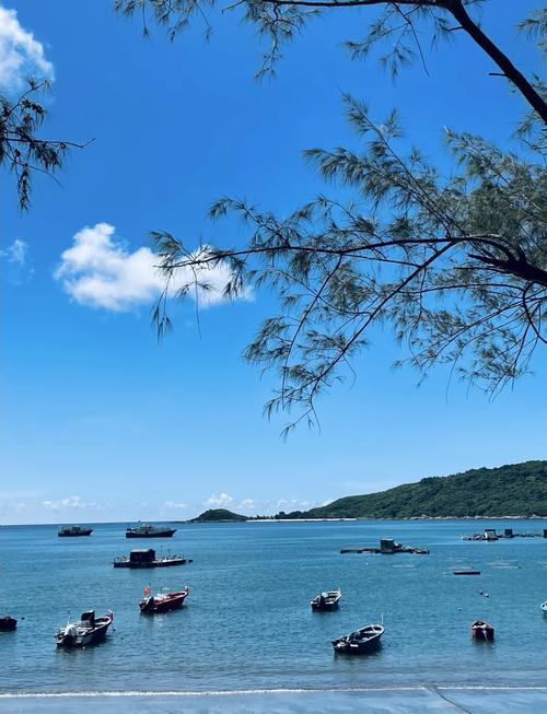 江门下川岛一日游?江门下川岛一日游最佳路线?-第5张图片-屿企百科网 江门下川岛一日游?江门下川岛一日游最佳路线?-第5张图片-屿企百科网