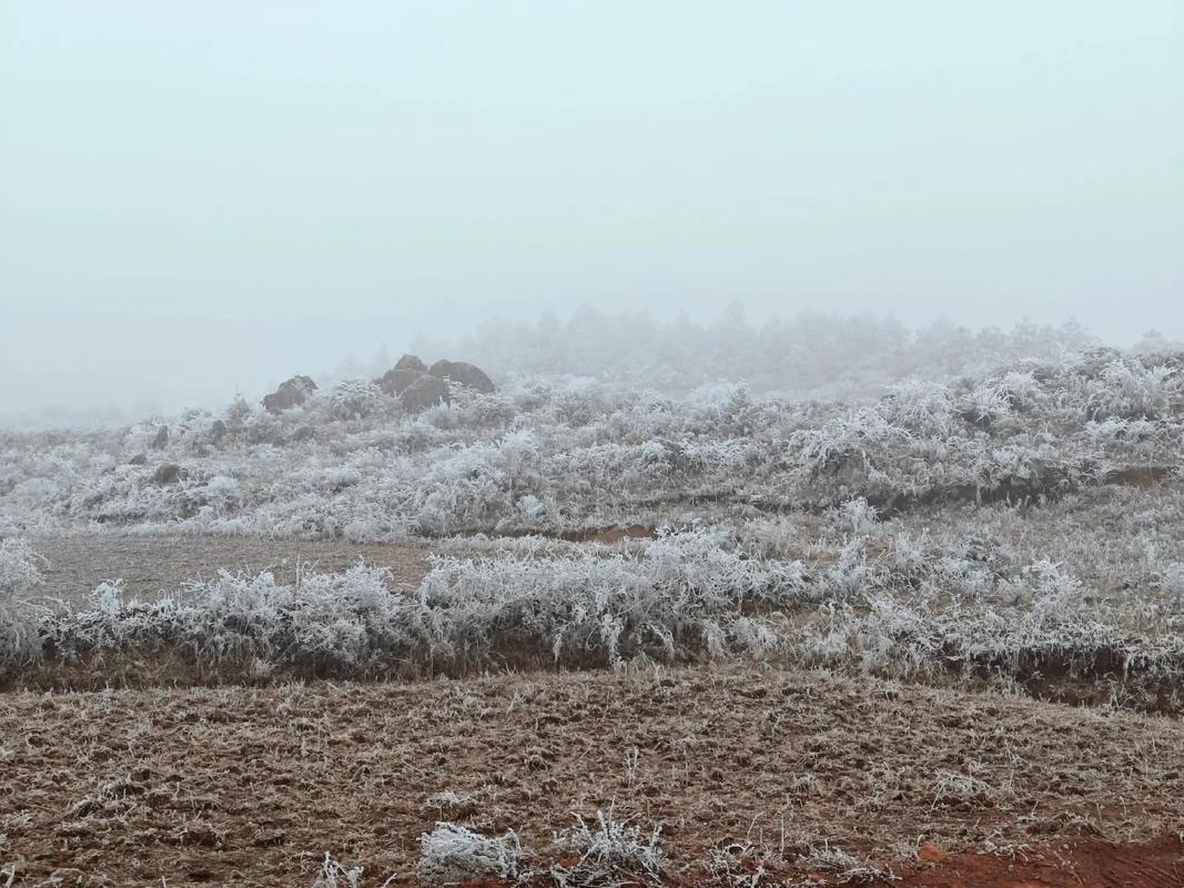 昭通市是什么气候，昭通的气候类型？-第4张图片-屿企百科网