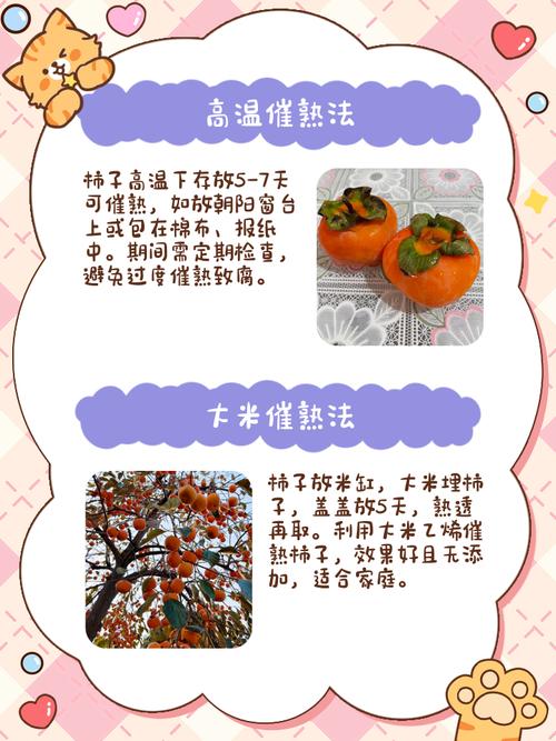 捂柿子的方法，捂柿子的原理-第4张图片-屿企百科网