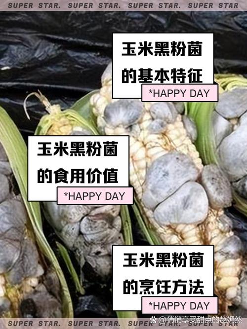 玉米长黑色的菌是为什么，玉米长黑色菌能吃吗-第3张图片-屿企百科网