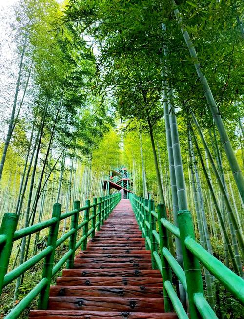 去肇庆必打卡的景点，肇庆游玩好去处-第5张图片-屿企百科网