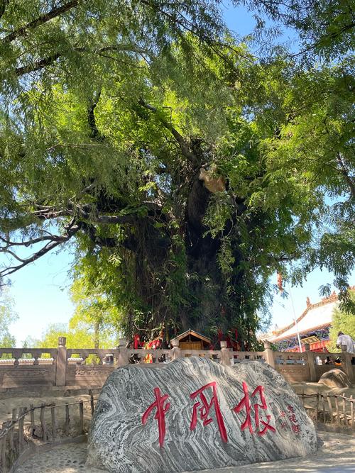 山西洪洞大槐树，山西洪洞大槐树旅游攻略-第3张图片-屿企百科网
