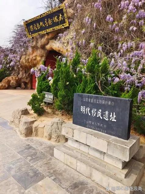 山西洪洞大槐树，山西洪洞大槐树旅游攻略-第5张图片-屿企百科网