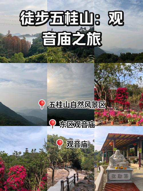 中山五桂山自然风景区，中山五桂山自然风景区有哪些景点?？-第4张图片-屿企百科网