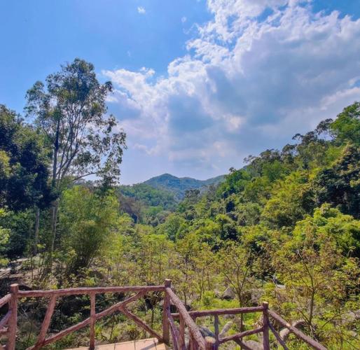 中山五桂山自然风景区，中山五桂山自然风景区有哪些景点?？-第6张图片-屿企百科网