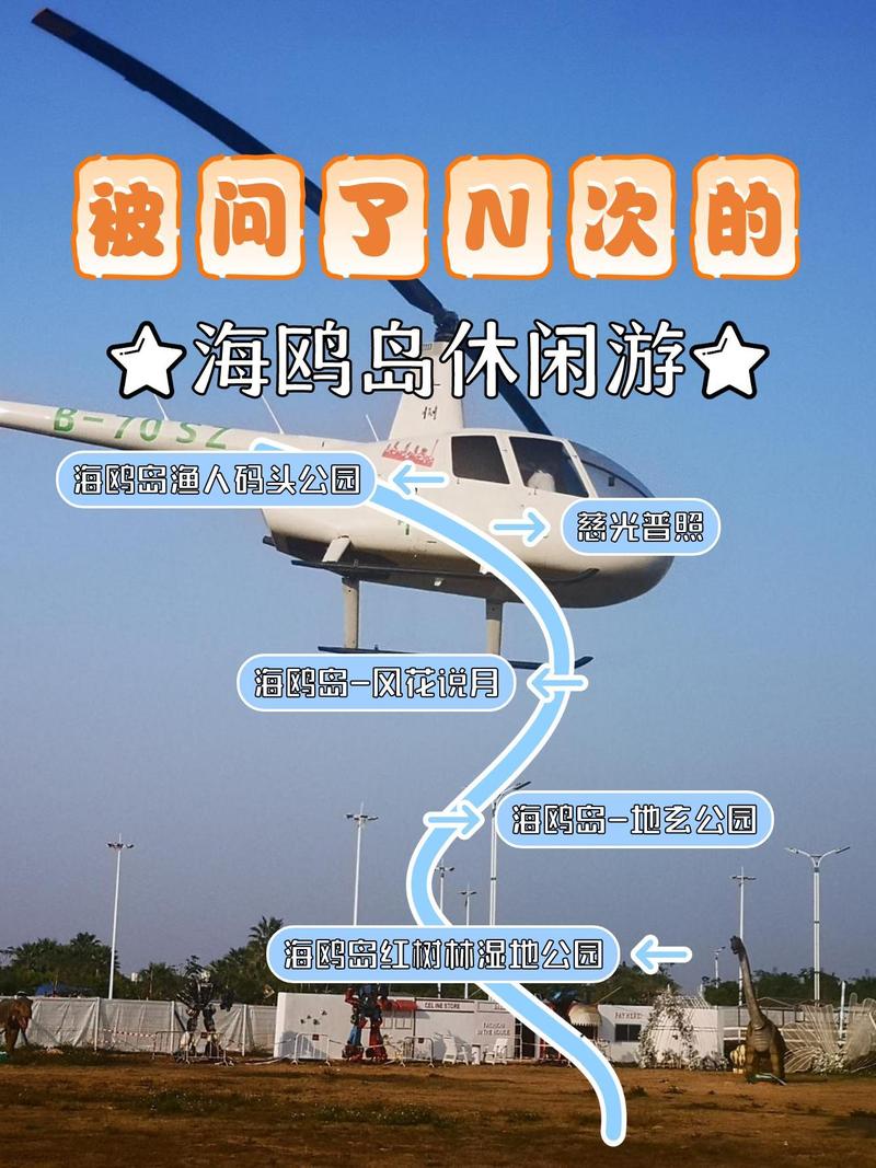 海鸥岛一日自驾游攻略？海鸥岛自驾路线？-第2张图片-屿企百科网