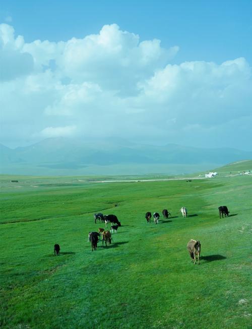 巴音布鲁克草原游玩攻略，巴音布鲁克草原景区门票-第3张图片-屿企百科网