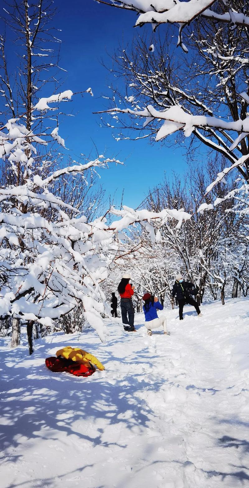 淄博15年最低气温，淄博历年最低气温-第3张图片-屿企百科网