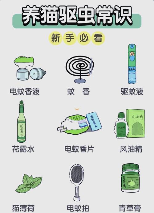 自制灭蚊子最有效的方法，比较好的灭蚊方法是什么？-第3张图片-屿企百科网