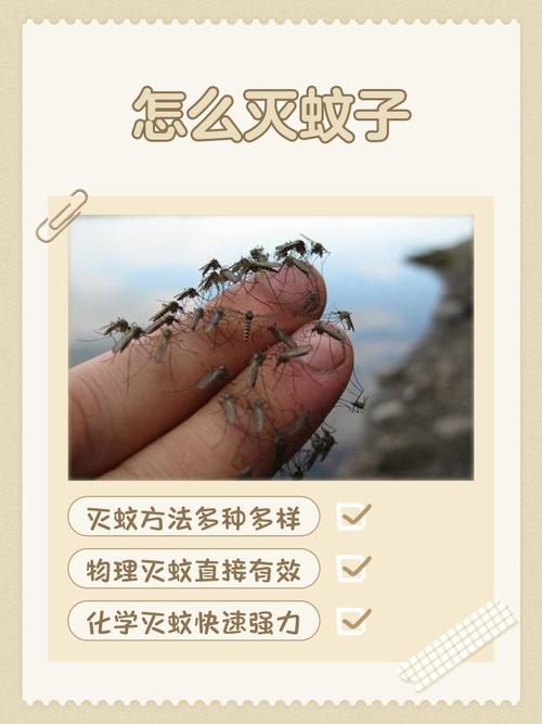 自制灭蚊子最有效的方法，比较好的灭蚊方法是什么？-第6张图片-屿企百科网
