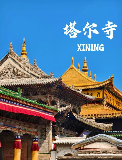 西宁前十旅游景区，西宁景点排名榜前十名-第4张图片-屿企百科网
