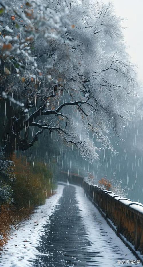 雨夹雪形成原因是什么，雨夹雪形成的条件是什么，雨夹雪有什么特别的含义吗？-第4张图片-屿企百科网