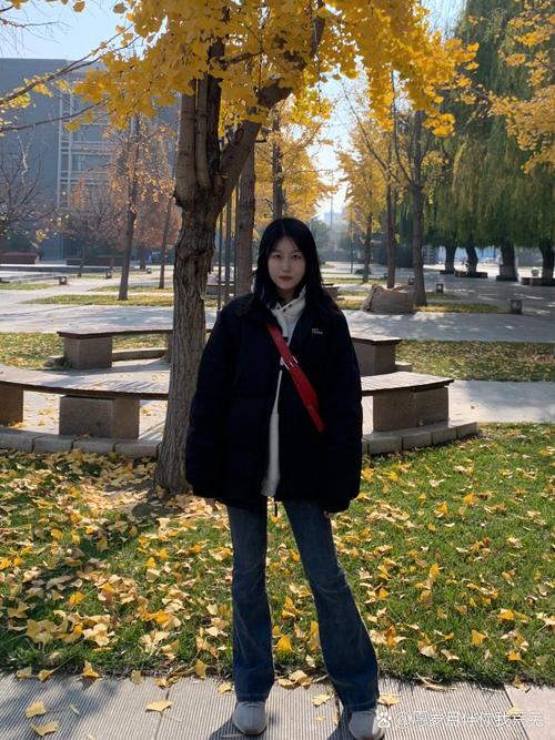 山东国庆气温一般多少，山东国庆节气温大约多少度-第6张图片-屿企百科网