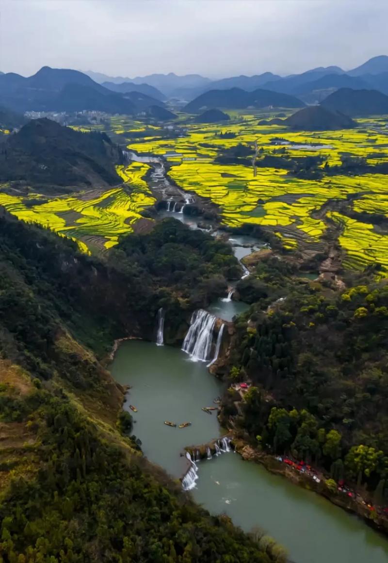 罗平旅游景点介绍？罗平旅游必去的景点？-第4张图片-屿企百科网