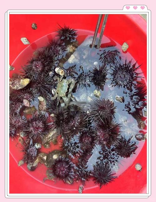 莆田每年比较高气温，莆田夏季比较高气温？-第5张图片-屿企百科网