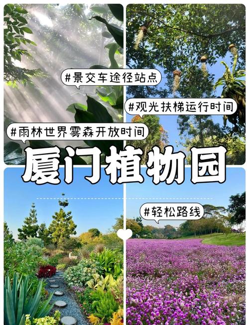 厦门园林植物园门票多少钱，厦门园林植物园要门票吗-第7张图片-屿企百科网