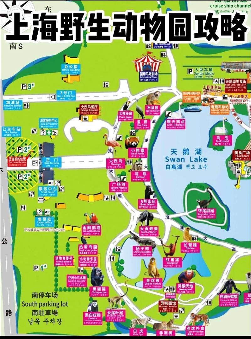上海野生动物园游玩攻略，上海野生动物园游玩攻略大全-第6张图片-屿企百科网
