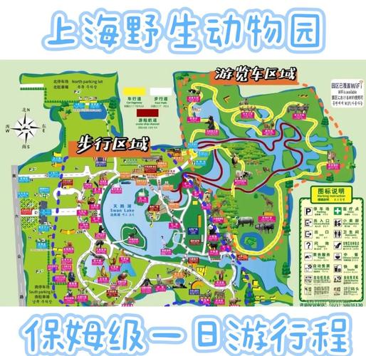 上海野生动物园游玩攻略，上海野生动物园游玩攻略大全-第7张图片-屿企百科网