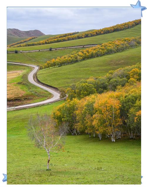 北京附近草原旅游去哪里好，北京附近草原哪个最美？-第7张图片-屿企百科网